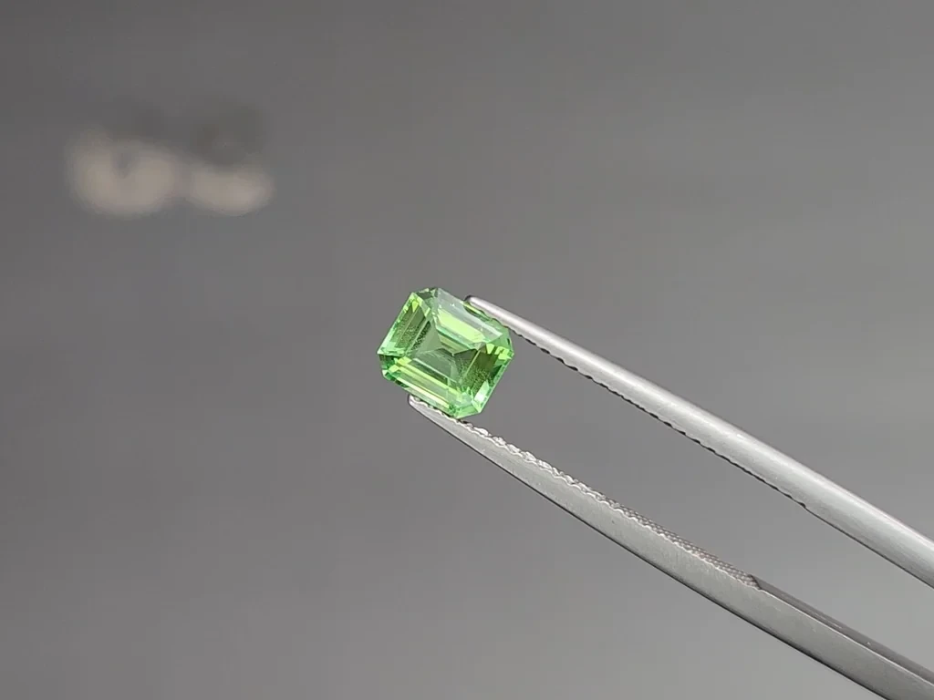 Garnet tsavorite octagon cut 1.03 carats, Tanzania  Image №3