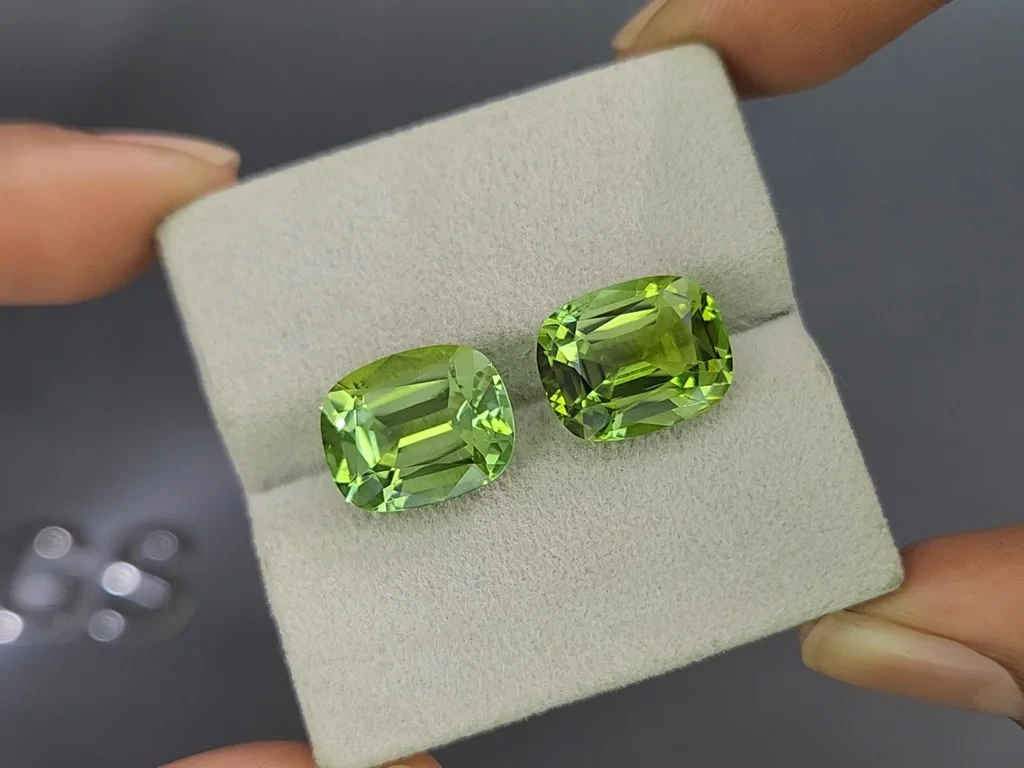 Paar kissenförmig geschliffene grüne turmaline 13,79 karat, Kolumbien Image №4