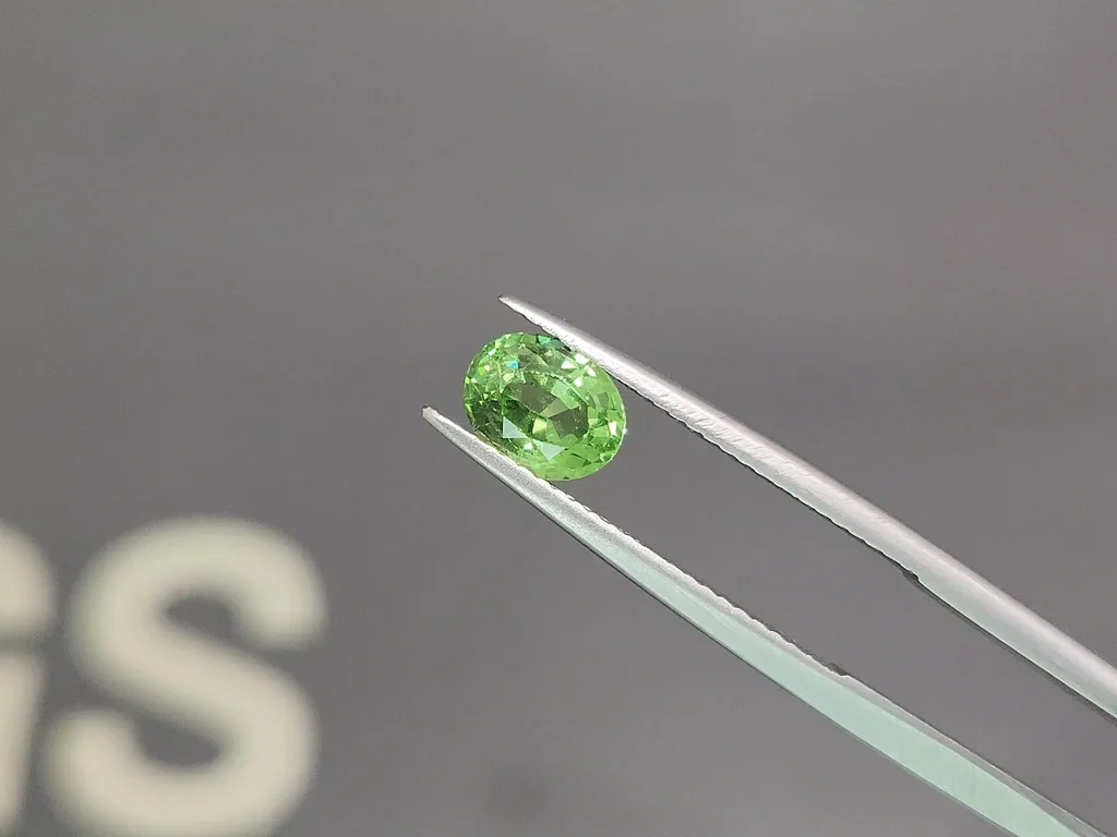 Tsavorita de corte ovalado verde intenso de 1,18 ct de Tanzania Image №3