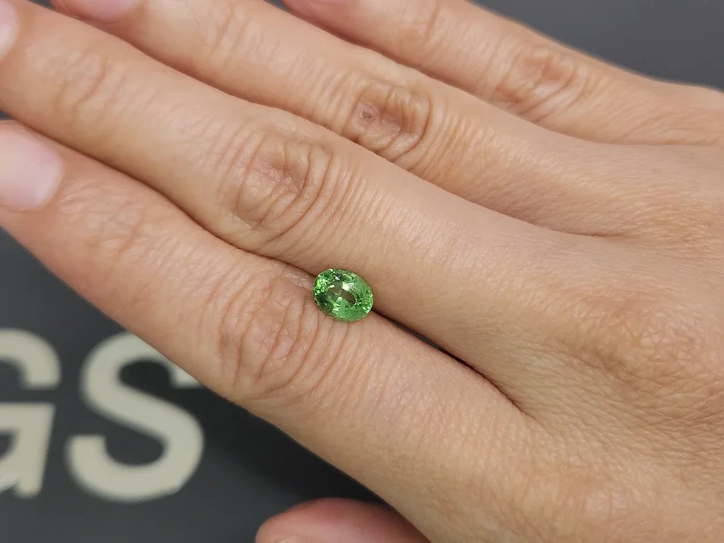 Tsavorita de corte ovalado verde intenso de 1,18 ct de Tanzania Image №2