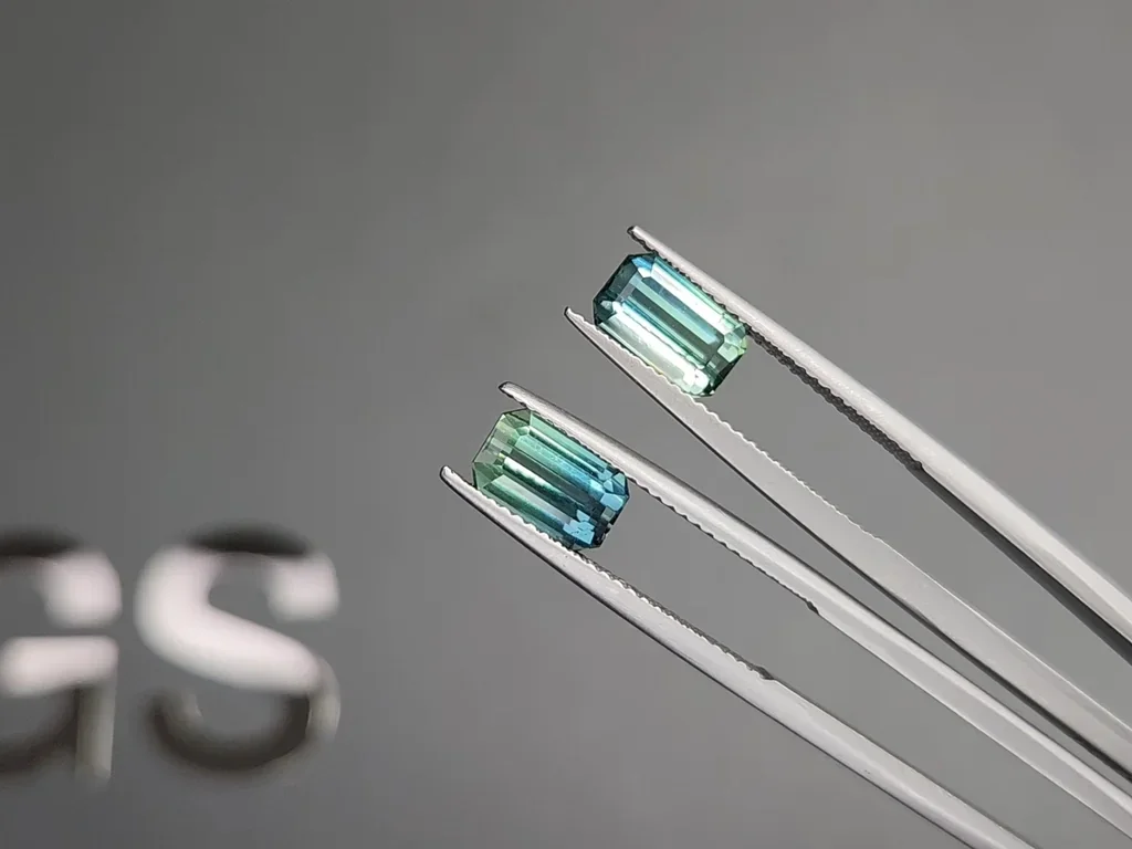 Paar zweifarbige turmaline im achteckschliff 3,64 carats,  Afghanistan Image №3