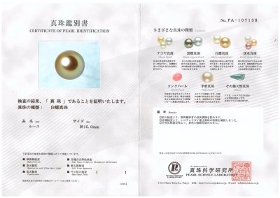 Certificate Rara perla marina dorada de los Mares del Sur Amami Gold 15,1 mm, Japón