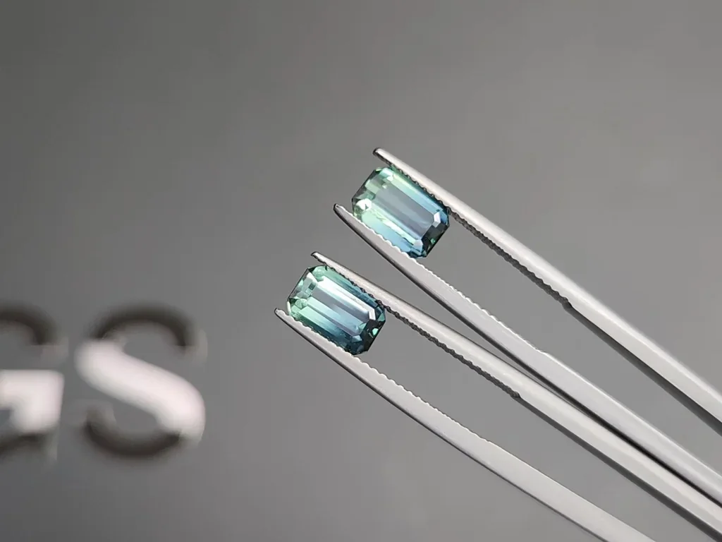 Paar zweifarbige turmaline im achteckschliff 3,05 karat, Afghanistan Image №3