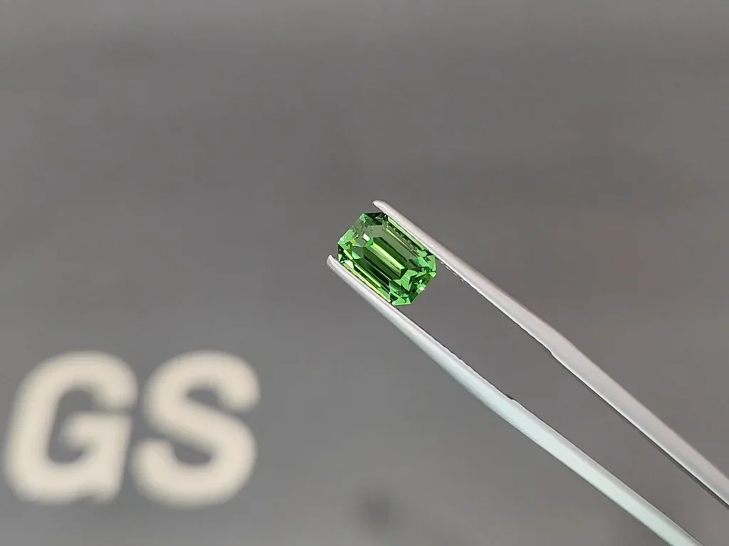 Granate tsavorita de corte octogonal de 2,26 quilates, Tanzania  Image №3