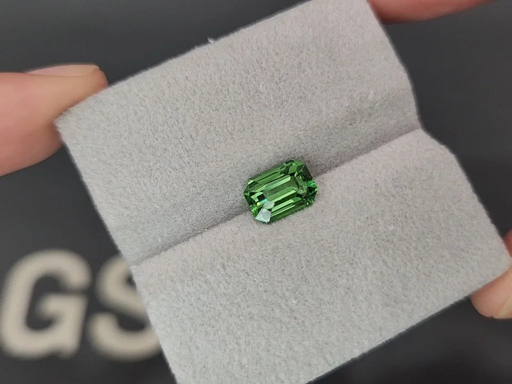 Granate tsavorita de corte octogonal de 2,26 quilates, Tanzania  Image №4