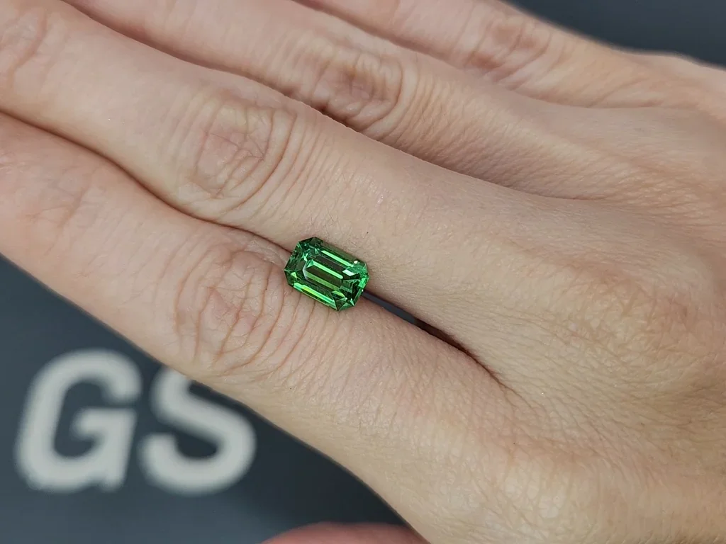 Granate tsavorita de corte octogonal de 2,26 quilates, Tanzania  Image №2