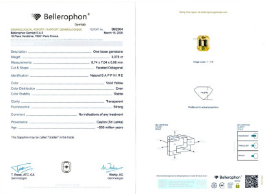 Certificate Paar unbehandelte saphire Golden Yellow im oktagon-schliff 6,53 karat, Sri Lanka