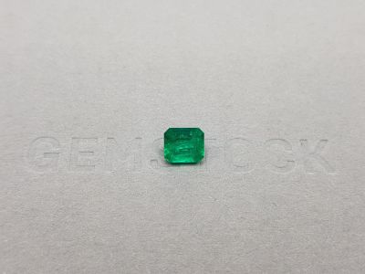 Intense emerald from Colombia 0.93 ct photo
