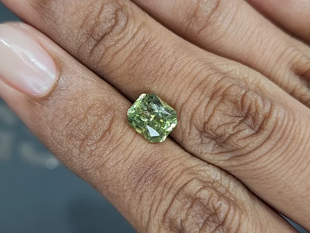 Grenat grossulaire taille radiant 2,90 carats, Tanzanie Image №2