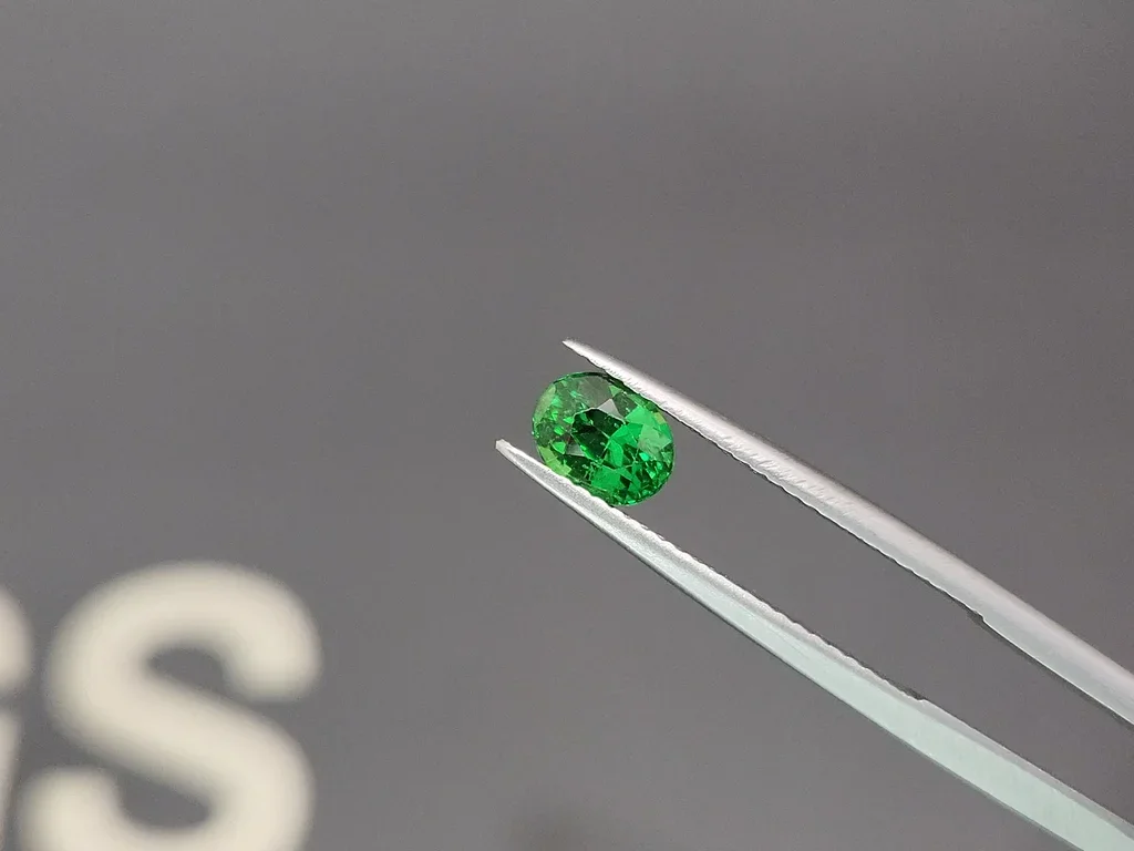 Tsavorite garnet Vivid Green oval cut 1.02 carats, Tanzania Image №3