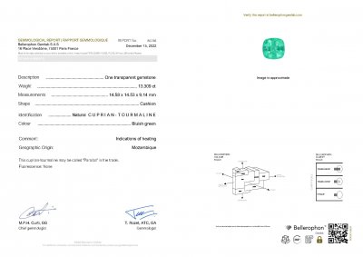 Certificate Vibrant Apple Cushion Paraiba 13.31 ct