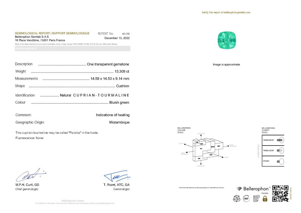 Certificate Vibrant Apple Cushion Paraiba 13.31 ct
