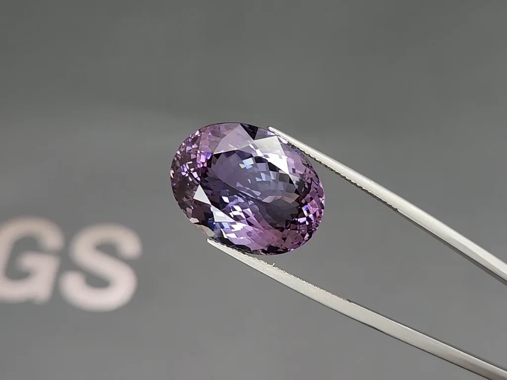 Tanzanita grande de corte ovalado sin calentar de 25,58 quilates, Tanzania Image №3