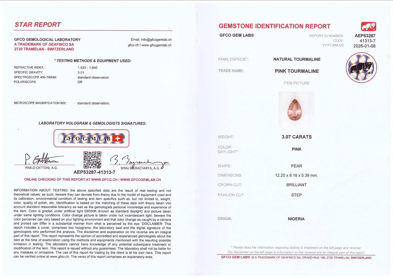 Kontrastierendes paar aquamarin und turmalin im birnenschliff 5,93 karat, Mosambik, Nigeria Image №6