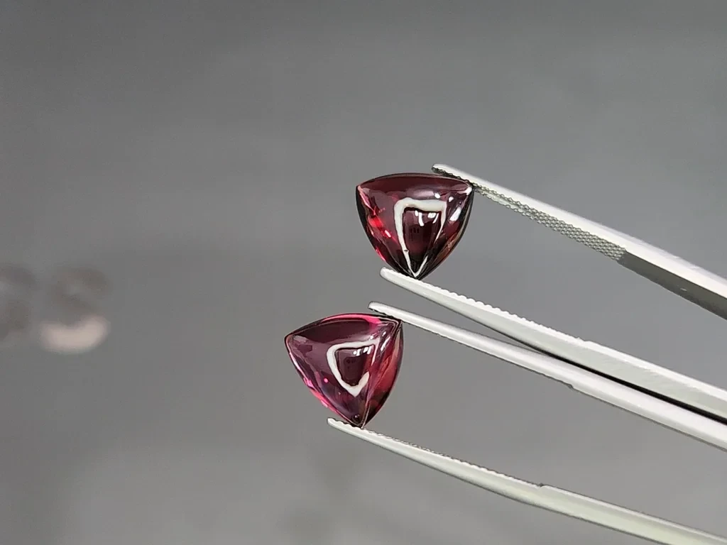 Pair of rhodolite garnets trillion cut 12.70 carats, Madagascar Image №3