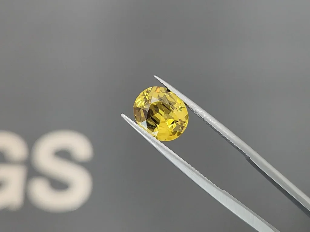 Granate de Mali talla ovalada 2,87 quilates, África Image №3