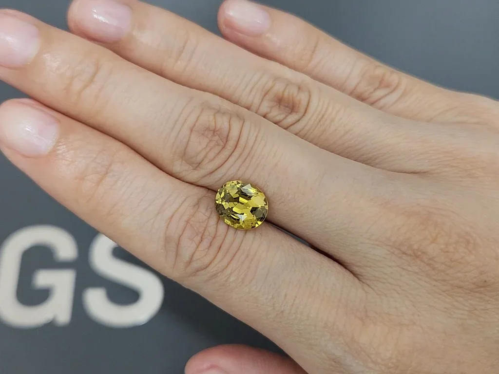 Granate de Mali talla ovalada 2,87 quilates, África Image №2