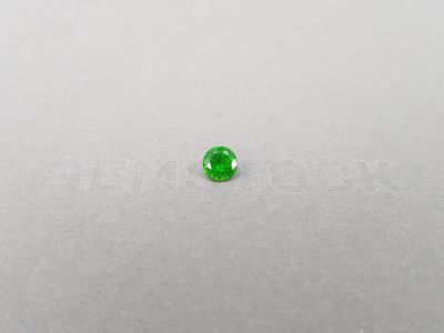 Russian demantoid with horse tail like inclision 0.58 ct photo
