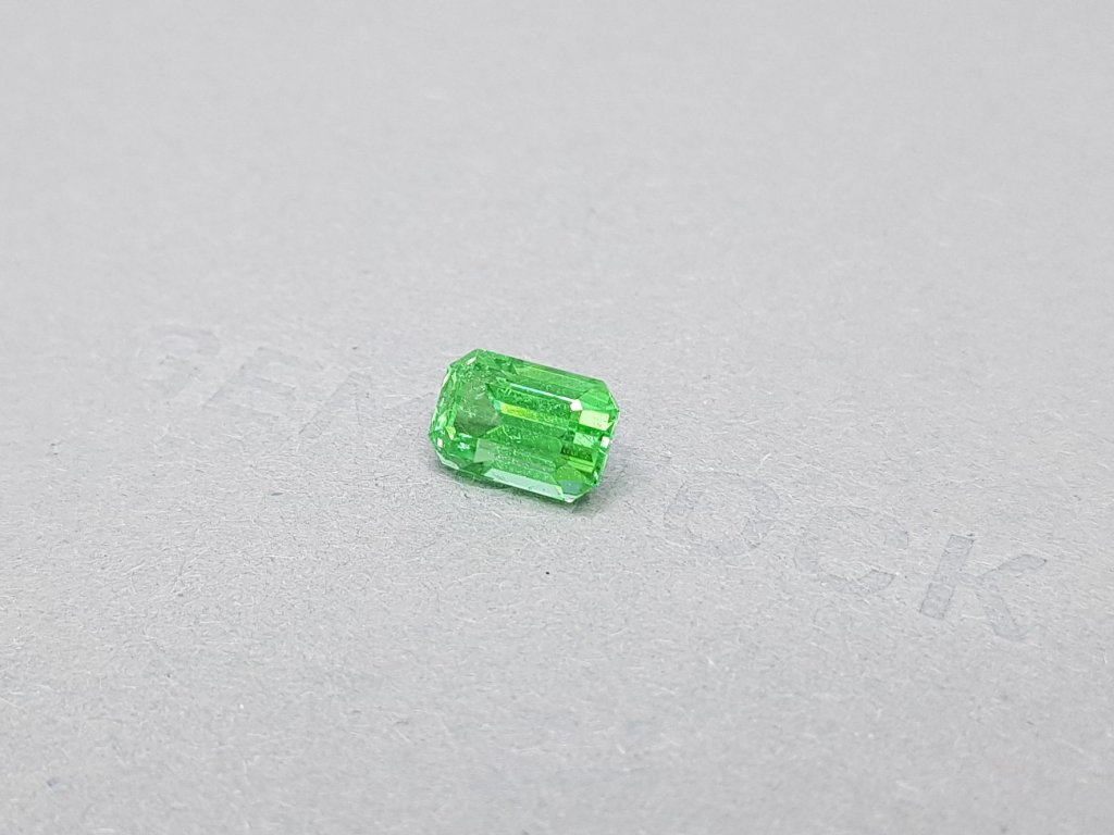Vibrant green paraiba octagon cut 2.68 ct Image №3