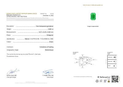 Certificate Vibrant green paraiba octagon cut 2.68 ct