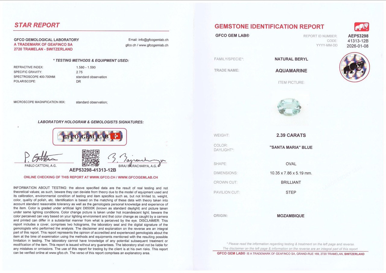 Kontrastierendes paar oval geschliffener aquamarine und turmaline 5,47 karat, Mosambik, Nigeria Image №5