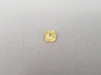 Golden sapphire in octagon cut 2.07 ct, Sri Lanka photo