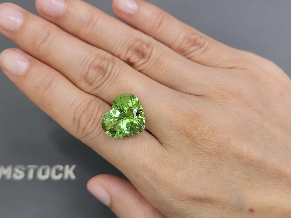 Mint green tourmaline in a high-precision cut 13.87 carats, heart shape Image №2