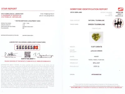 Certificate Mint green tourmaline in a high-precision cut 13.87 carats, heart shape