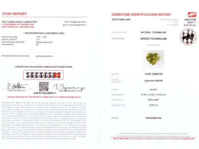 Certificate Mintfarbener Turmalin im hochpräzisen Herzschliff mit 13,87 Karat