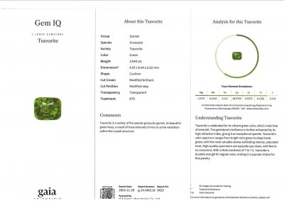 Certificate Granate tsavorita verde talla cojín 3,01 quilates, Tanzania