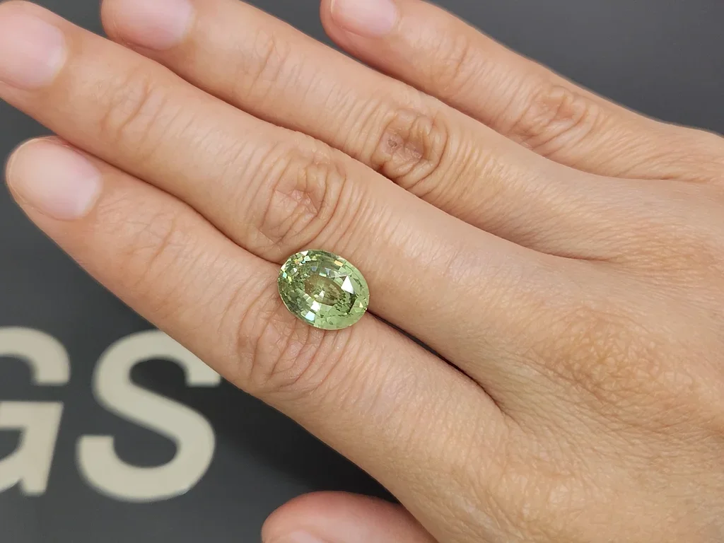 Grossular granat im ovalschliff 5,71 karat, Tansania Image №2
