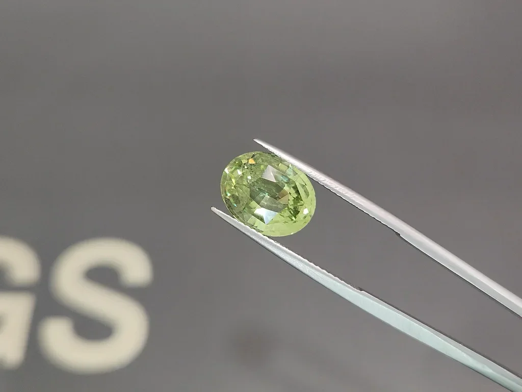 Grossular granat im ovalschliff 5,71 karat, Tansania Image №3