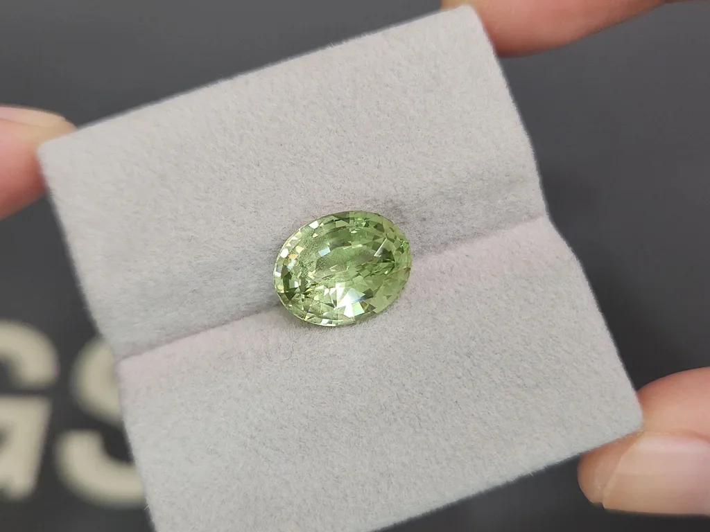 Grossular granat im ovalschliff 5,71 karat, Tansania Image №4