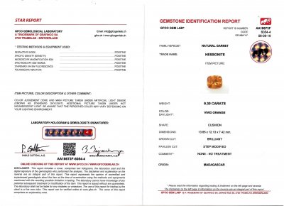 Certificate Rare Hessonite Garnet from Madagascar 9.30 ct