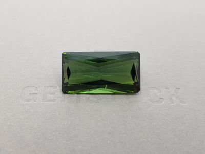Large Verdelite from Madagascar 22.56 ct, ICA photo