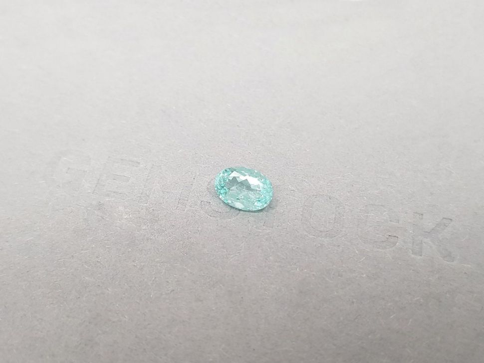 Paraiba tourmaline in oval cut 0.77 ct, Mozambique Image №3