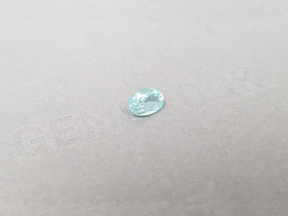 Paraiba tourmaline in oval cut 0.77 ct, Mozambique Image №2