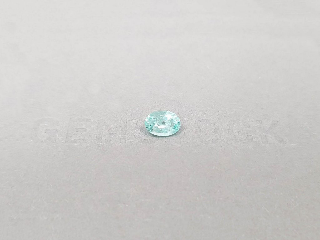 Paraiba tourmaline in oval cut 0.77 ct, Mozambique Image №1