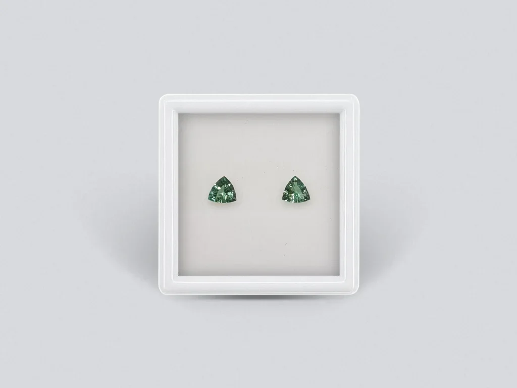 Pair of trillion-cut green tourmalines 0.51 carats Image №1