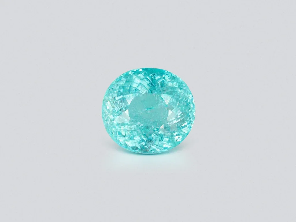 Tourmaline Paraiba brillante, taille ovale, 10,33 carats, Mozambique Image №1