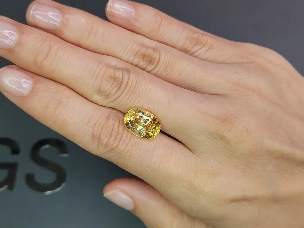 Saphir jaune taille ovale non traité 8,05 carats, Sri Lanka Image №2