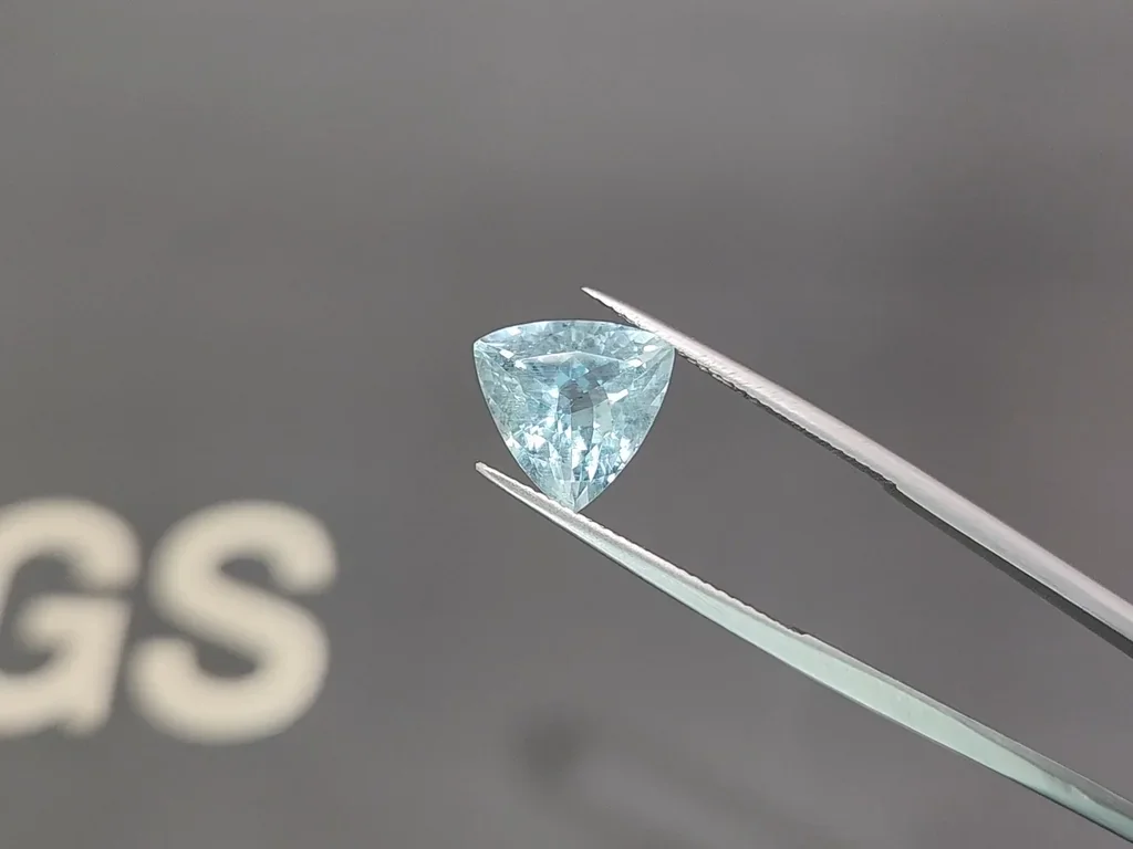 Aquamarin im trillionschliff 3,94 karats, Brazil Image №3