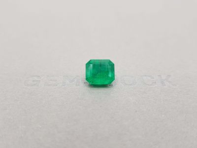Emerald Vivid Green 3.77 ct, Pakistan, GFCO photo