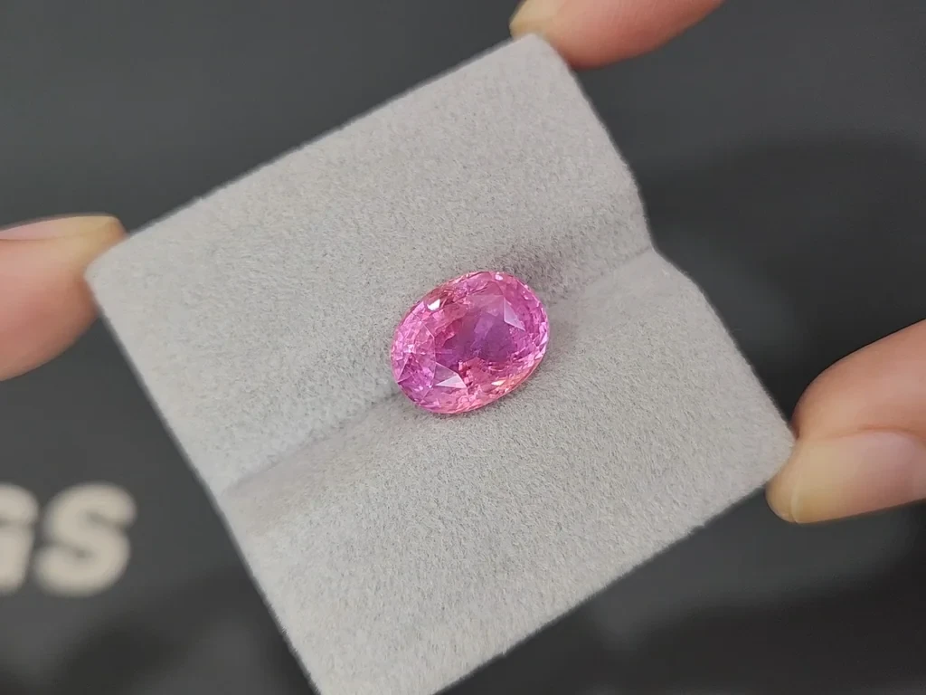 Unbehandelter Padparadscha saphir im oval schliff 8,25 karat, Sri Lanka  Image №4