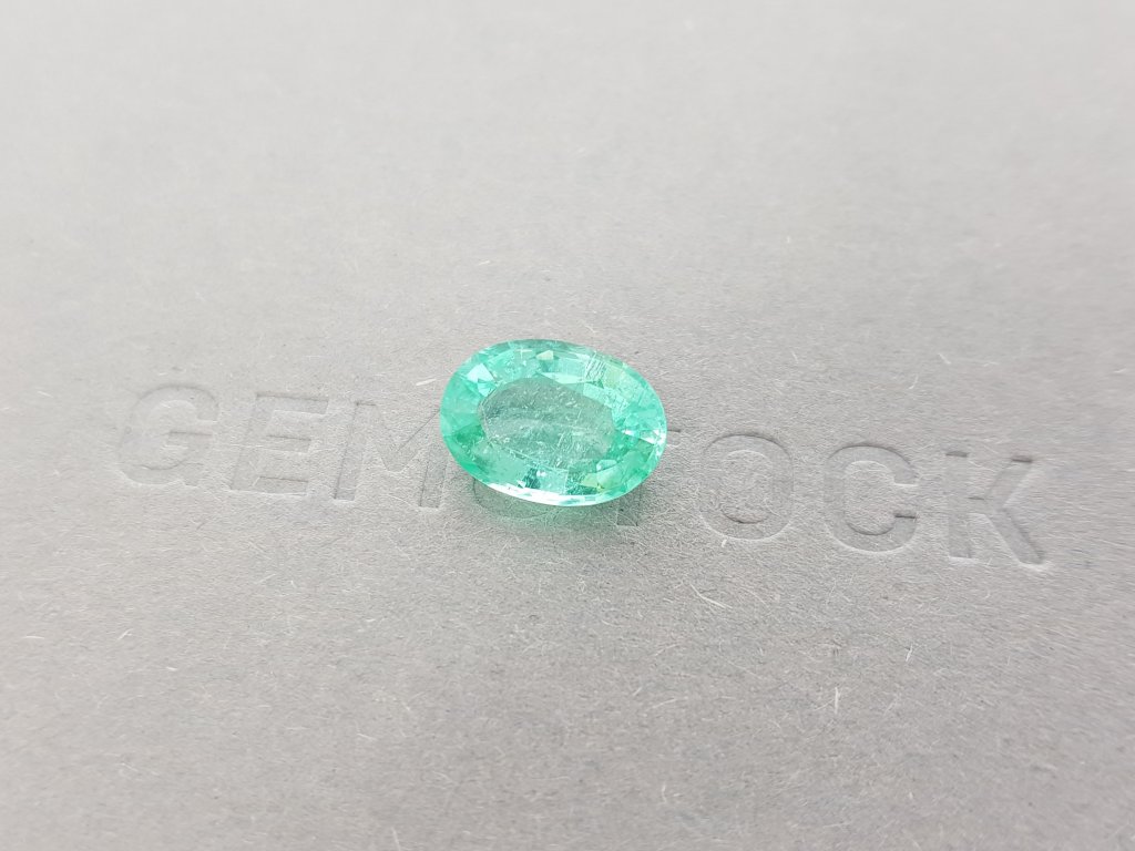 Paraiba tourmaline, oval cut 3.89 ct Image №3