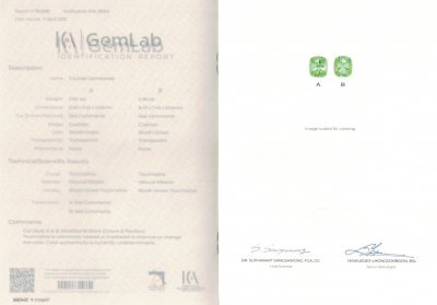 Certificate Pair of Lagoon tourmalines 4.64 ct ICA