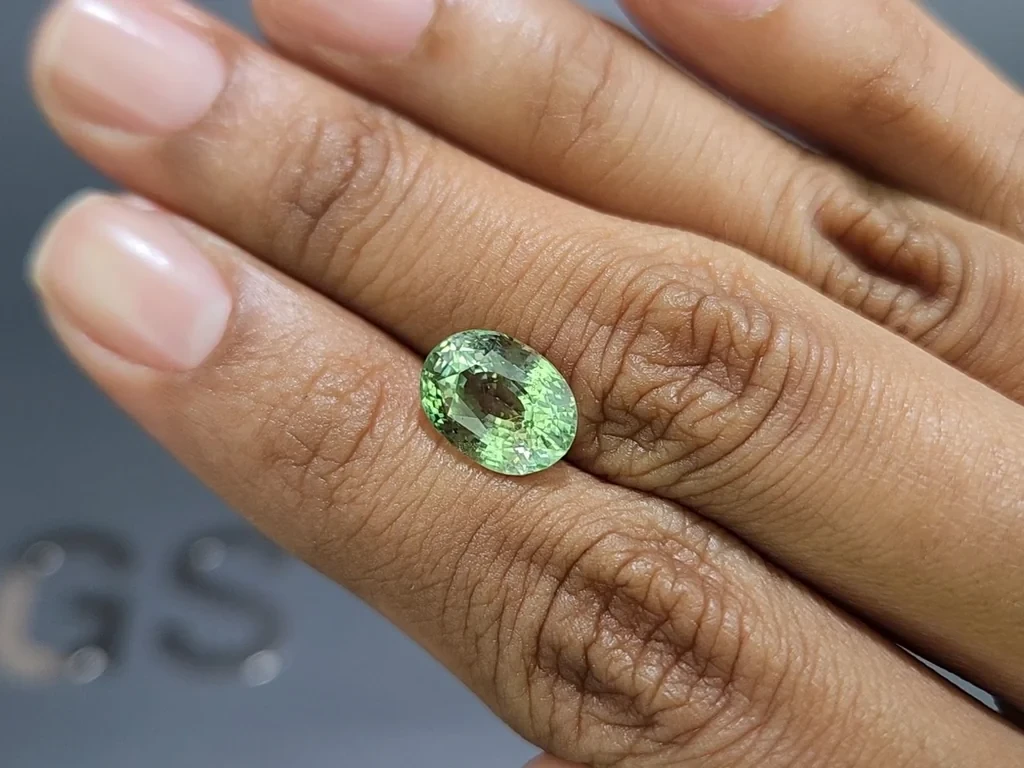Granat grossular im ovalen schliff 4,51 karat, Tansania Image №2