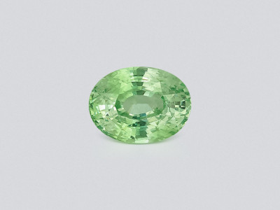 Granat grossular im ovalen schliff 4,51 karat, Tansania photo