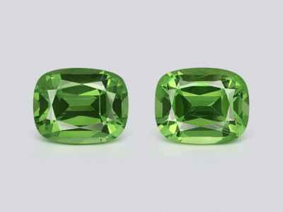Une paire de grenats tsavorites taille coussin de 0,92 carat, Tanzanie photo