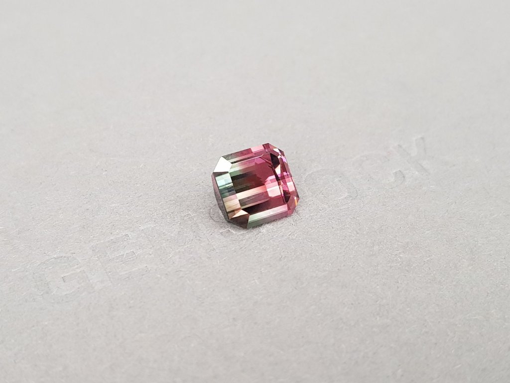 Bi-color pink and green tourmaline 3.23 ct in octagon cut, Congo Image №2